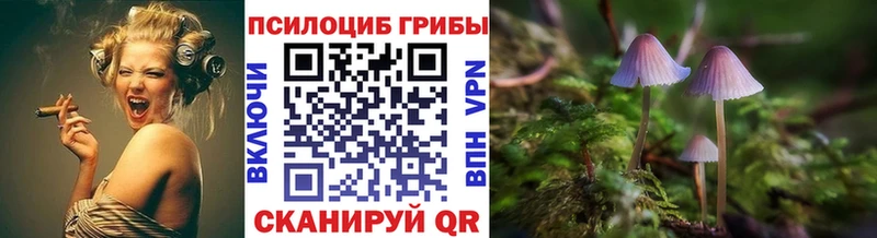 ссылка на мегу tor  что такое наркотик  Верхнеуральск  Псилоцибиновые грибы ЛСД 